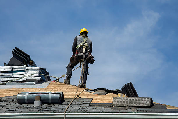Professional Storm Damage Roof Repair technician working in Capac, MI